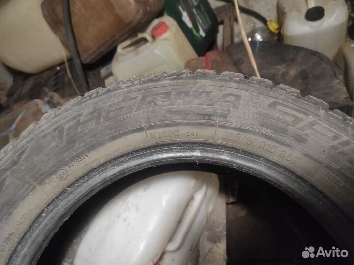 Tempra Winter Quest 185/65 R15