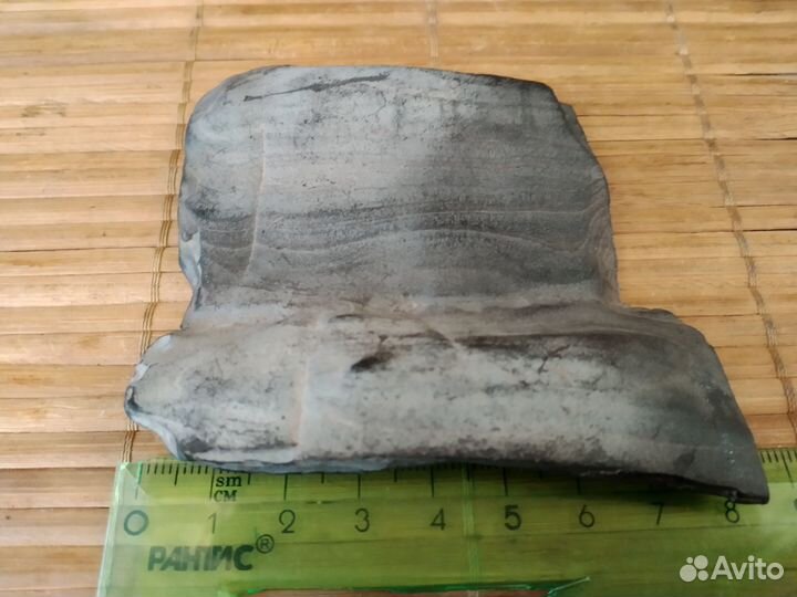 Окаменелое дерево минерал окаменелость образец кам