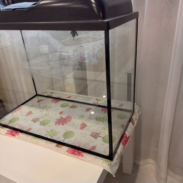 Аквариум 60 л Прямоугольный с крышкой и лампами