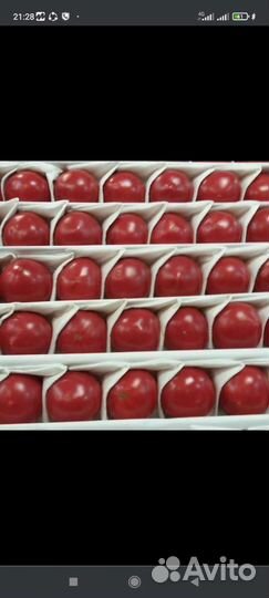 Ишу бизнес партнёр по прадажа