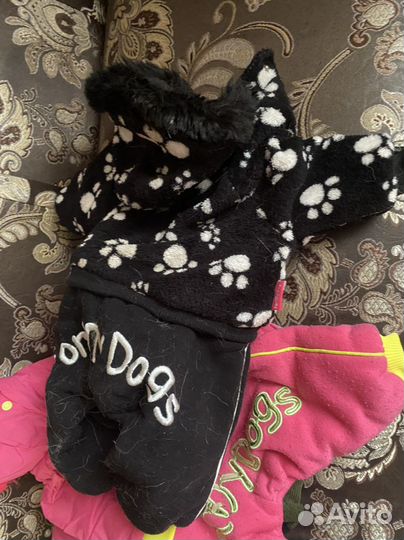 Собачьи вещи