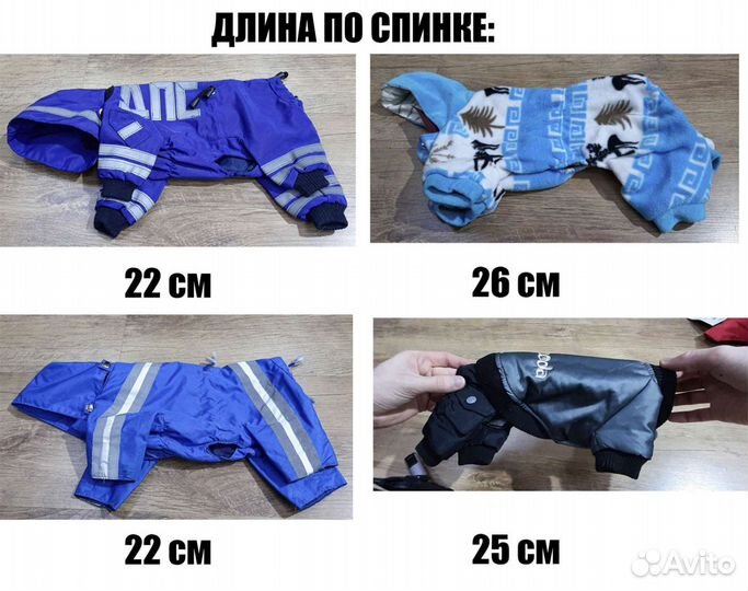 Новая одежда для собак