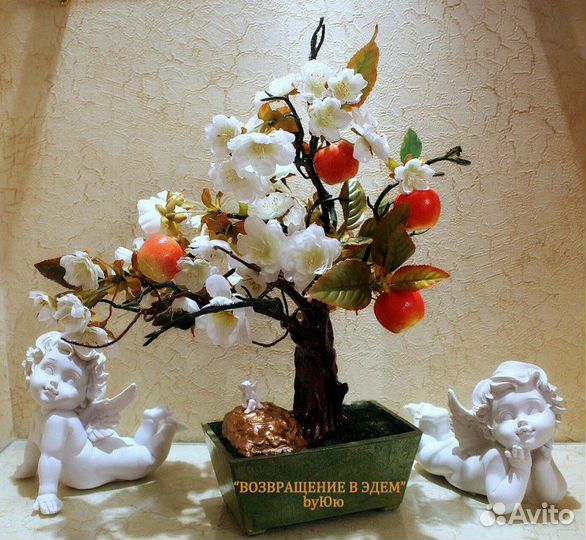 Бонсай интерьерный