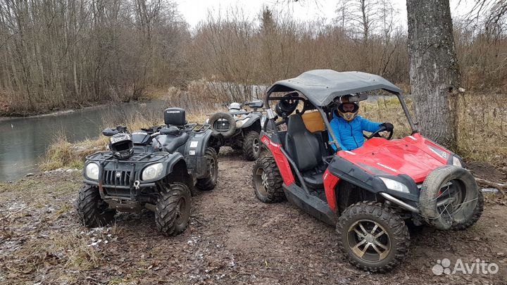 Прокат аренда квадроциклов багги