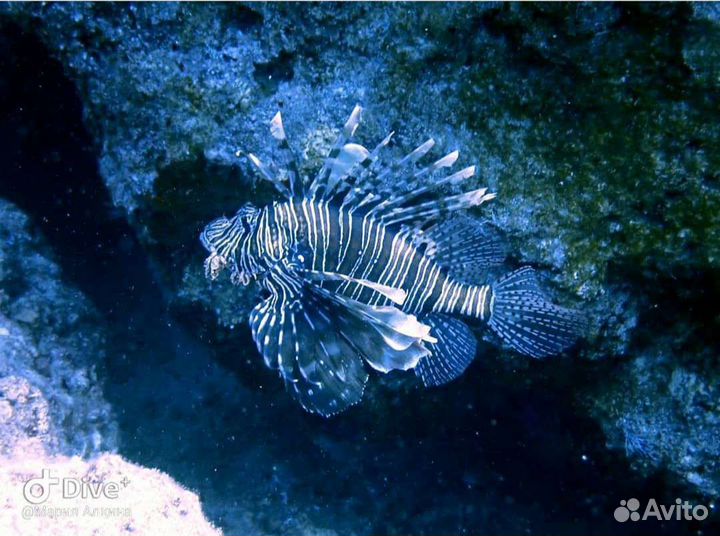 Пробное погружение с аквалангом в бассейне