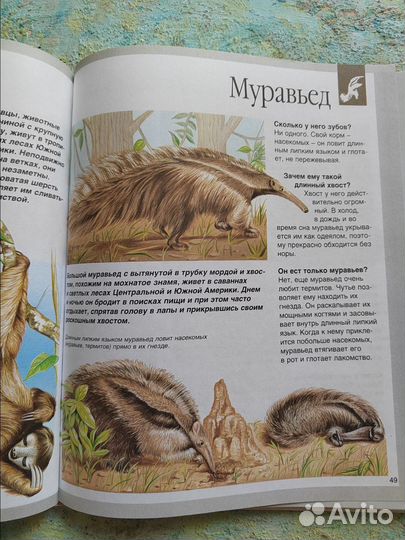 Детские книги в ассортименте