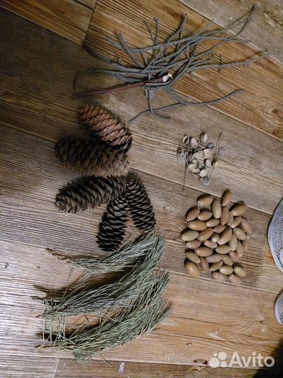 Гербарий для рукоделия