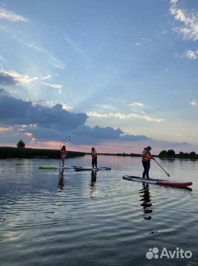 Аренда sup досок