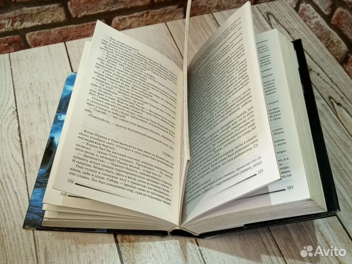 Спасатели веера. Головачев