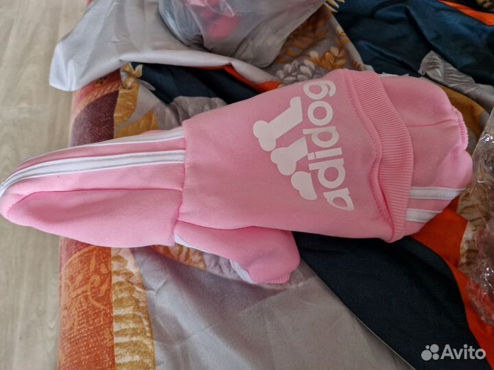 Одежда для собак мелких пород девочек