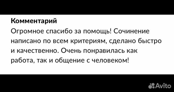 Репетитор по литературе