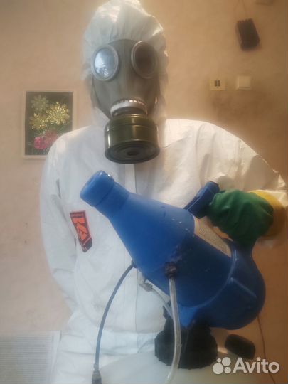 Уничтожение:Клопы,Тараканы,Запахи,Плесень