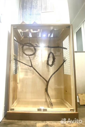 Клетка витрина