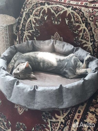 Лежанка для животных