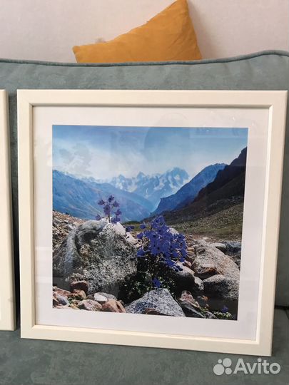 Картина в рамке