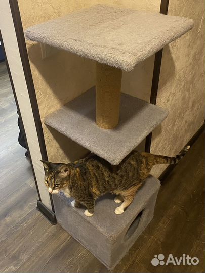 Домик для кошки с когтеточкой бу