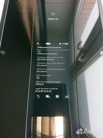 Sony DMP-Z1