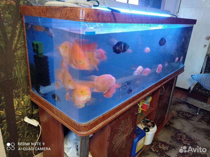 Аквариумы от 30до 720литров фирменный б/у