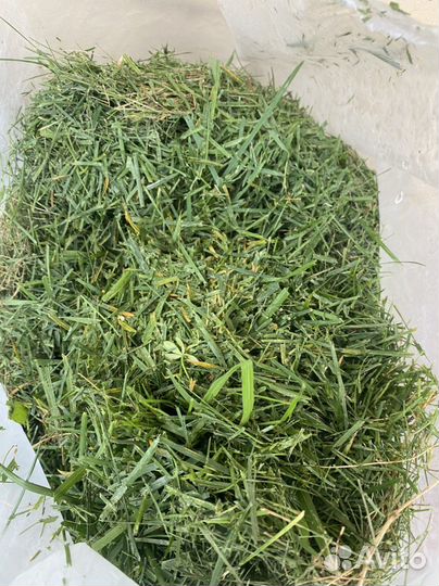 Мульча травы