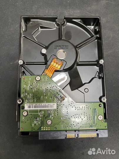 Hdd 500gb 3.5 wd