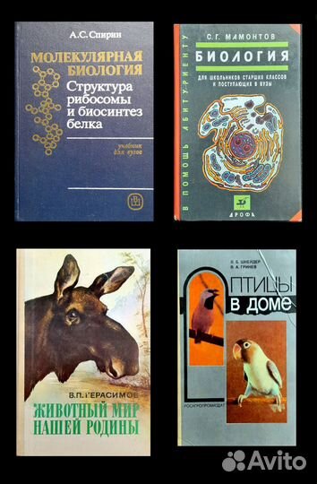 Биология Информатика Математика Физика Химия