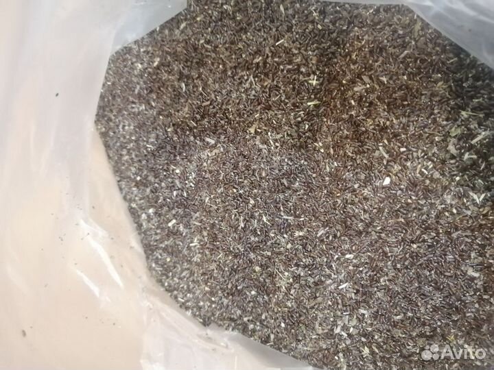 Семена лаванды