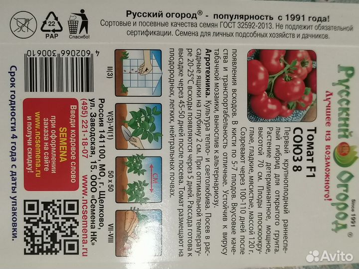 Рассада помидор