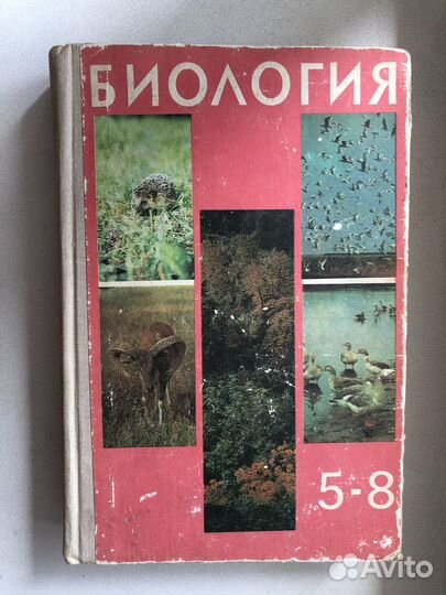 Учебники и пособия