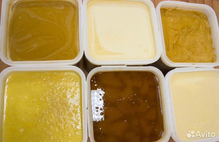 Мёд натуральный с Алтая оптом