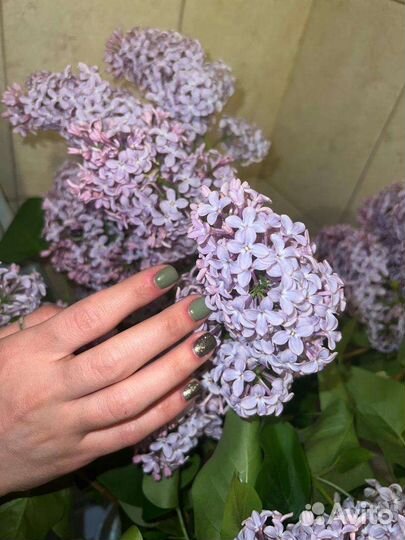 Маникюр педикюр на дому