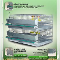 Клетка для перепелов на 60 голов (кп-60-2я), Солнечногорск