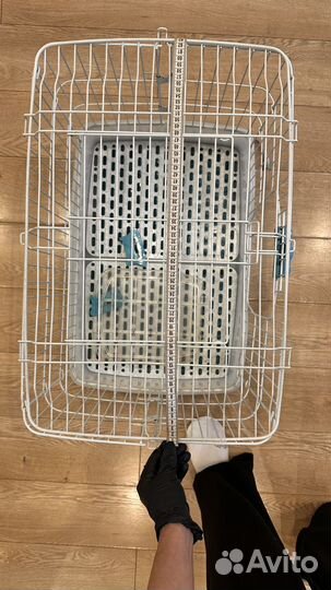 Клетка для грызунов крыс