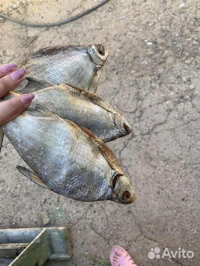 Соленая рыба Астраханская