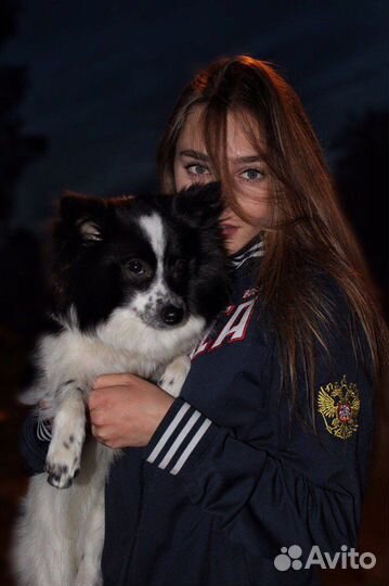 Кинолог, инструктор по дрессировке