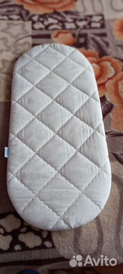 Коляска Pote Egg 2в1