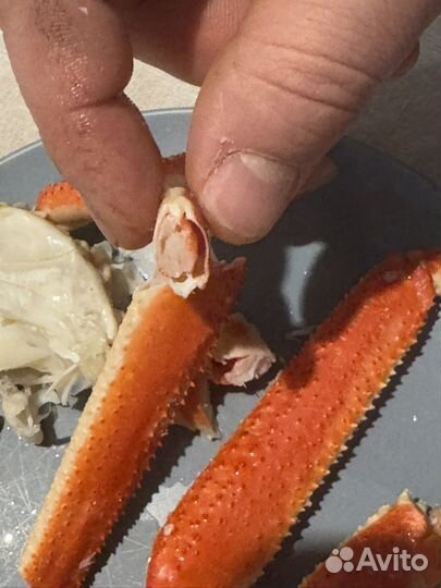 Краб стригун