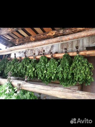 Веники для бани