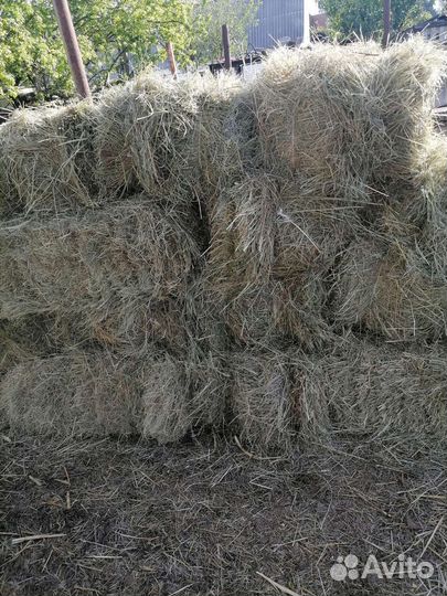 Сено в тюках