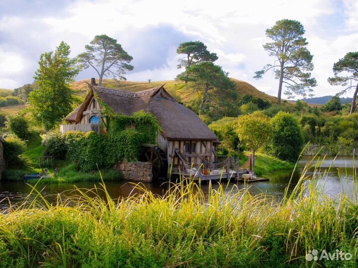 Виза в Новую Зеландию