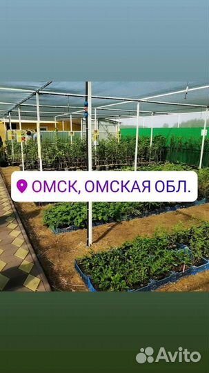 Садовый центр 