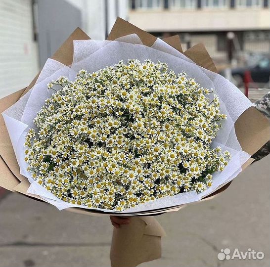 Букеты ромашек