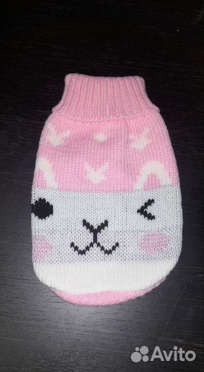 Одежда для животных