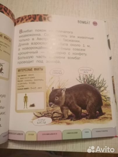 Детская энциклопедия о животных. Книга-подарок