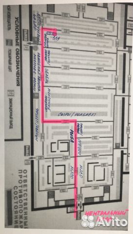 Стрептокарпус Листи