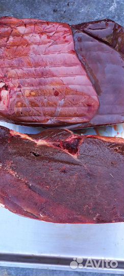 Мясо говядина для собак