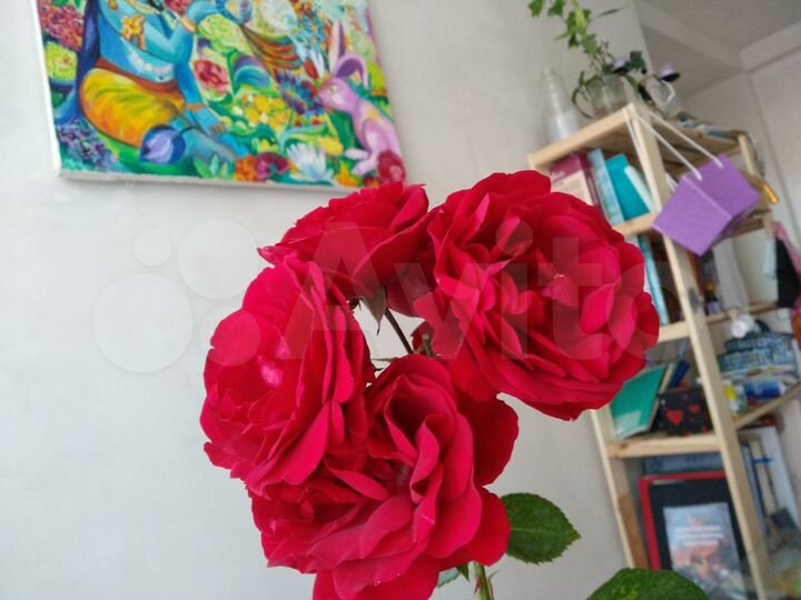 Комната 12 м² в 2-к., 2/3 эт.