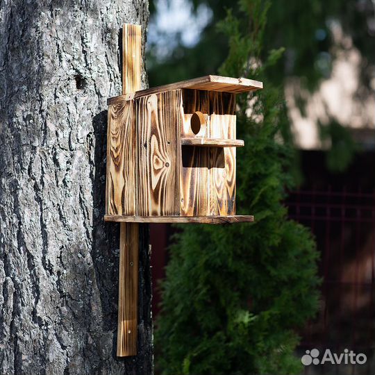 Бельчатник