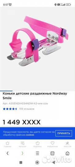 Коньки двухполозные детские до 24 см