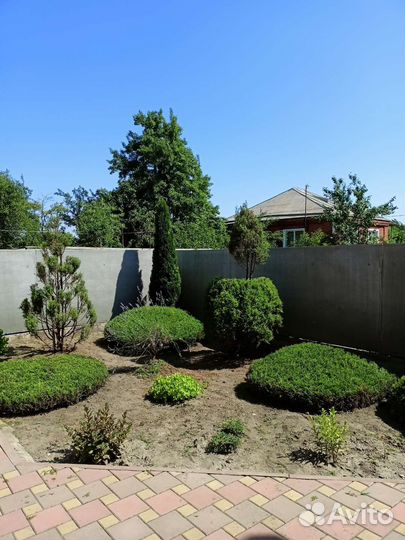 Обрезка деревьев, кустарников, винограда, хвойных