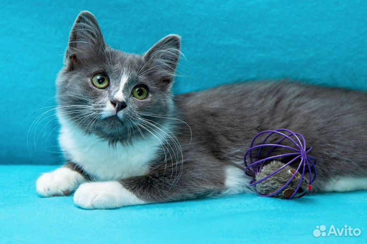 Трогательная малышка Ксю ищет дом